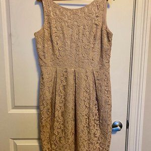 Eliza J Gold Lace Sheath Women's Dress Size 14